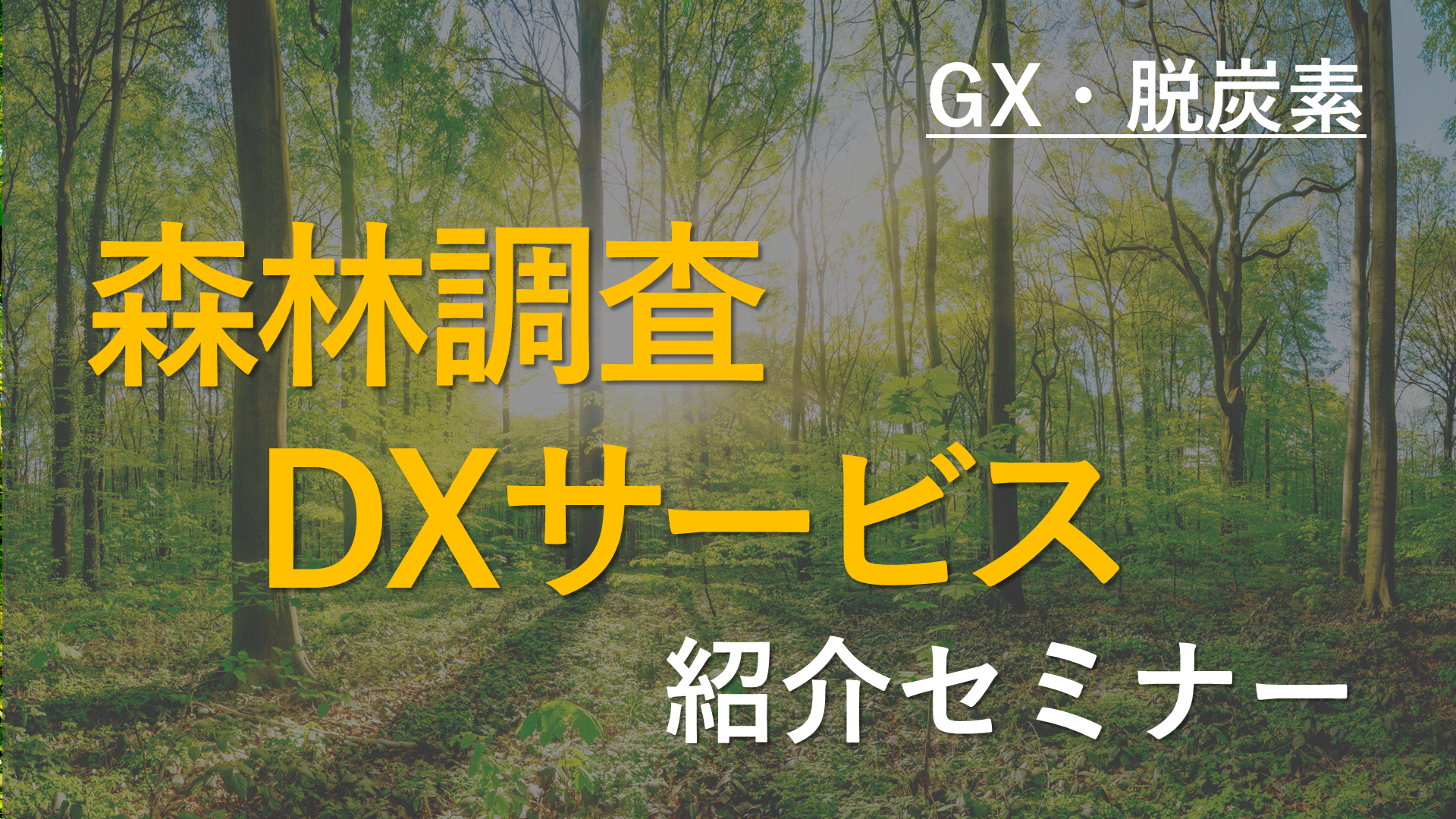 �X�ђ���DX�T�[�r�X�̏Љ�Z�~�i�[