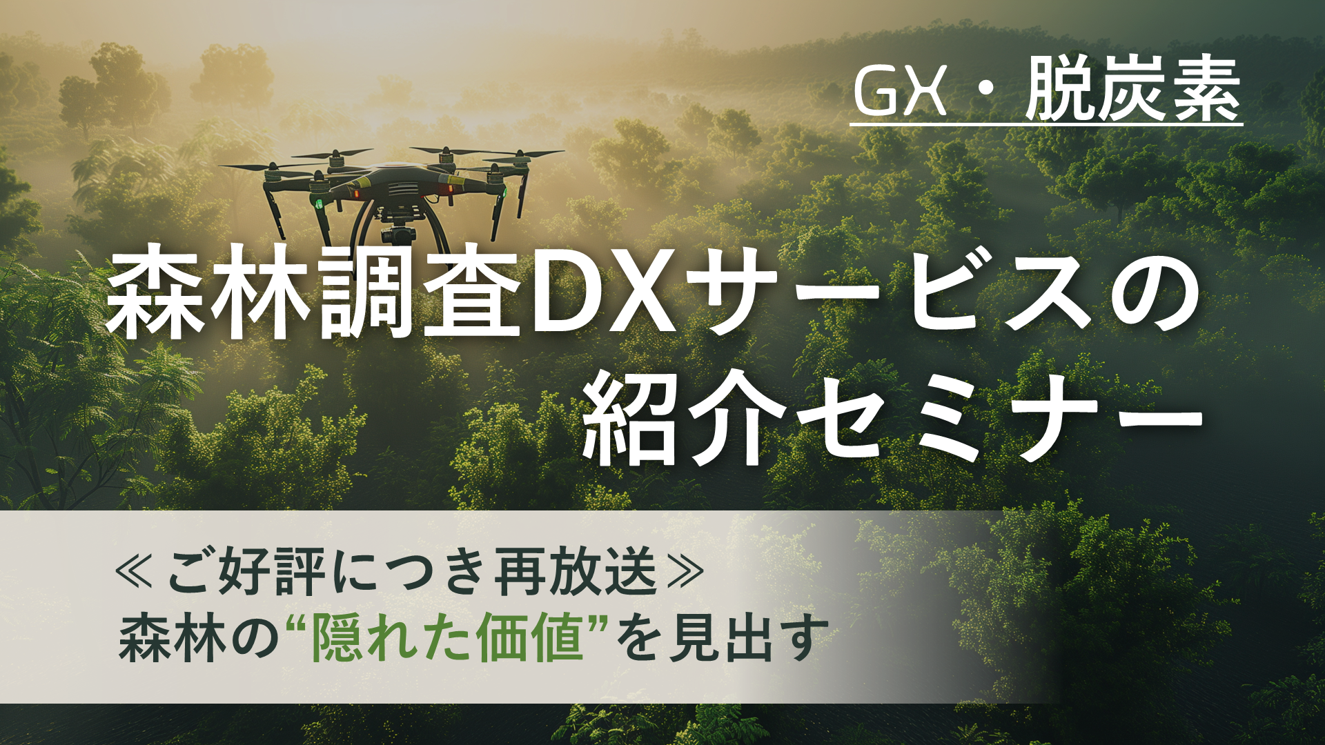 �X�ђ���DX�T�[�r�X�̏Љ�Z�~�i�[